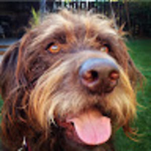 Meet your Posher, Margaret